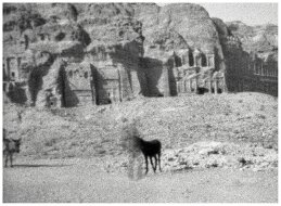 Petra Jordan null