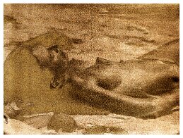 suntanning null