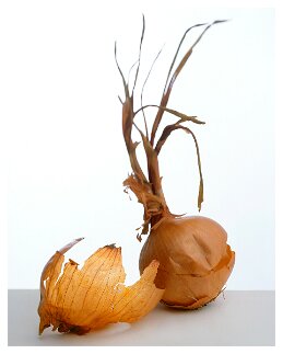 onion null