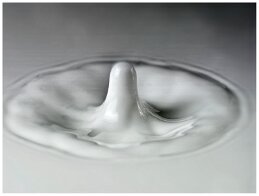 splash8402 null